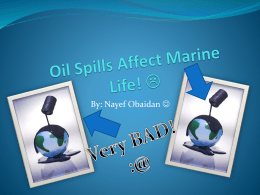 How Oil Spills Affect Marine Life - 18-077