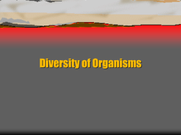 11.1 Diversity of Organisms