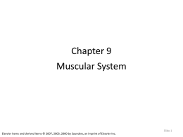 Chapter 6 Tissues and Membranes