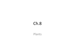 Ch.8 The Characteristics of Seed Plants