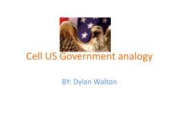 Cell US Government analogy - NylandBiology2012-2013