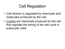 Cell Regulation - Groupfusion.net