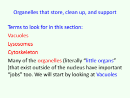 Organelles that store, clean up, and support