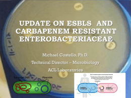 Update on Carbapenem Resistant Enterobacteriaceae