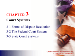 CHAPTER 3 Court Systems