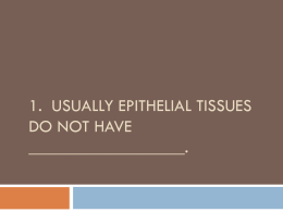 Usually epithelial tissues do not have