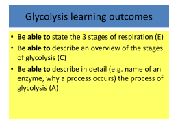 ATP - Co-enzymes - GLycolysis