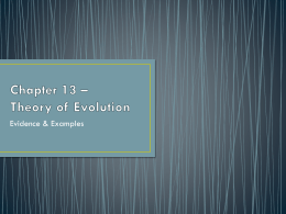 Chapter 13 * Theory of Evolution