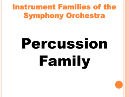 Percussion Family: Lesson 5