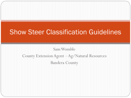 Show Steer Classification Guidelines
