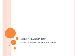 Cell transport - hills