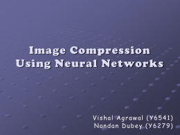 Neural Networks - CSE