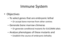 Immune Toxicology
