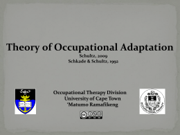 Theory of Occupational Adaptation - Vula