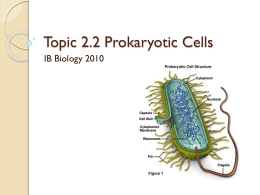 Topic 2.2 Prokaryotic Cells