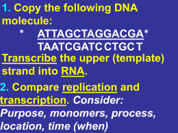 5. Translation, Genetic Code 2010-2011