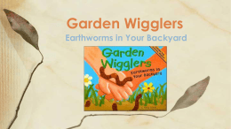 Earthworms in Your Backyard Garden Wigglers