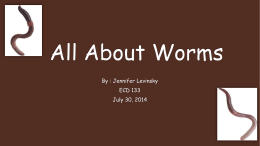 "all about worms" powerpoint