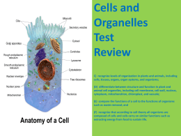 Cells and Organelles Test Review C) recognize levels of