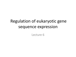 Eukaryotic Gene Regulation
