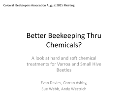 Better Beekeeping Thru Chemicals?