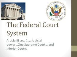 The Federal court System