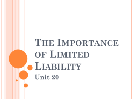 20 The Importance of Limited Liability