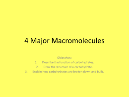 4 Major Macromolecules