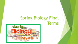 Spring Biology Final Terms