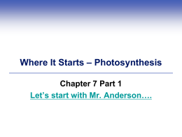 Photosynthesis PowerPoint – Chapter 7