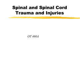 Spinal Cord Trauma and Injuries