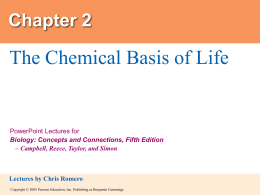 Topic 1-The Chemical Basis of Life