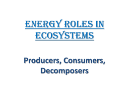 Energy Roles in Ecosystems Producers, Consumers, Decomposers
