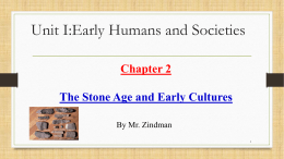 The Stone Age - Mr. Zindman`s Class