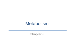 Metabolism-of-Glucose