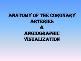 Anatomy of the coronary arteries and veins