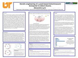 Genetic Engineering of Yeast-Based Bioluminescent