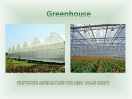 Low cost green house with Casuarina poles