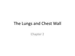 PowerPoint Presentation - Respiratory Therapy Files