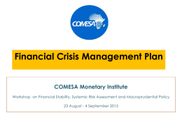 Financial-Crisis-Management-Plan