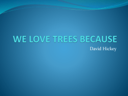 WE LOVE TREES BECAUSE