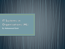 IT Systems in Organisations (HL) - ContiITGS-2013