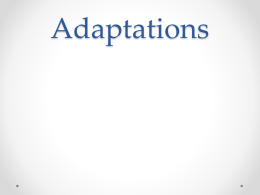Notes Adaptations File