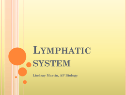 Lymphatic system - AP Biology