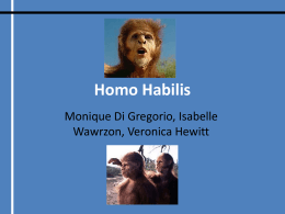Homo Habilis