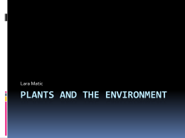 Plants and The Environment