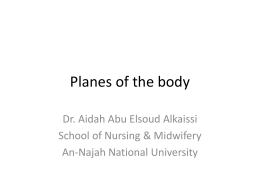 Chapter Fourteen: Organization of the body - E-Learning/An