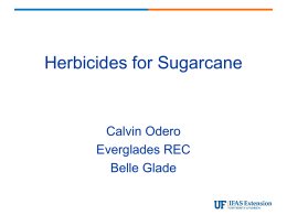 Herbicides Used in Florida Sugarcane