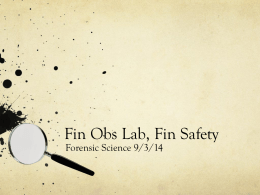 Fin Obs Lab, Fin Safety