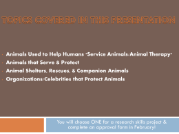 Service Animals - C